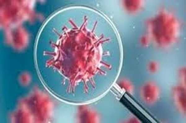 मराठवाड़ा में कोरोना के 726 नये मामले, 31 की मौत